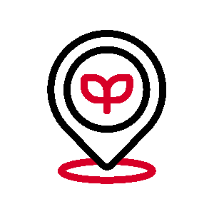 icon sustainable travel